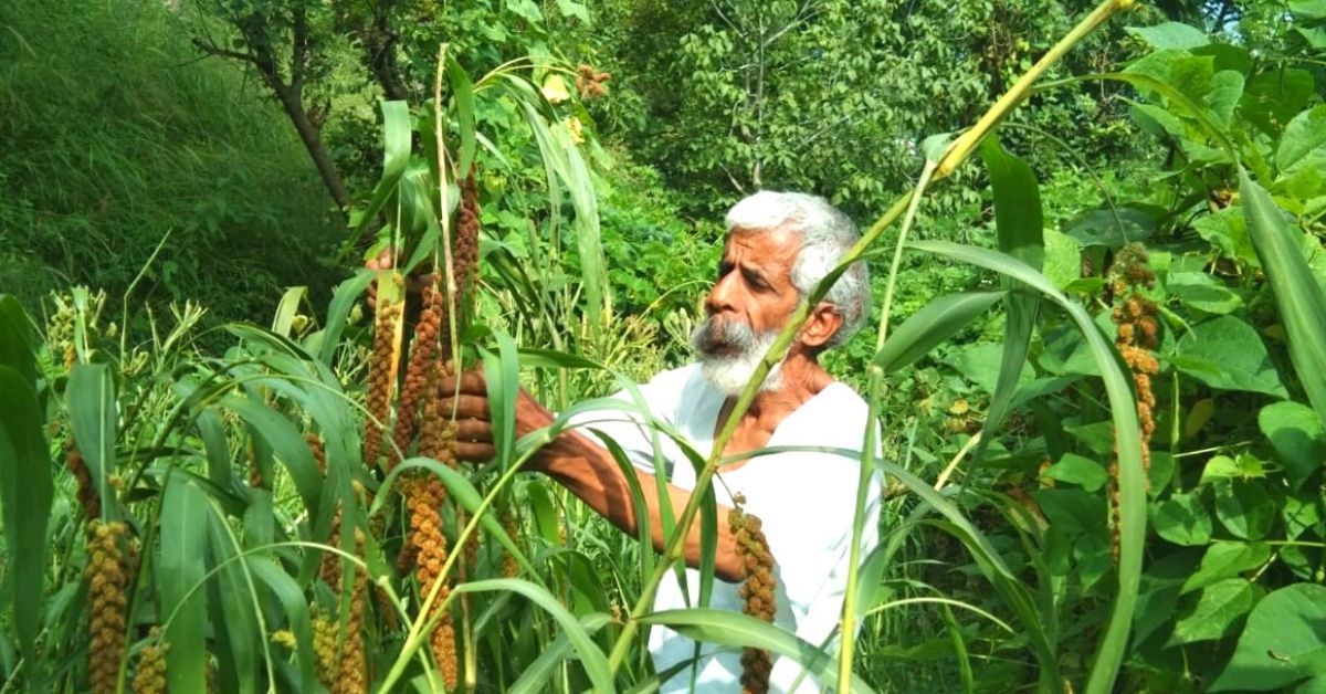 Meet the Man Teaching Farmers How to Grow 12 Crops a Year to Defy Droughts & Floods