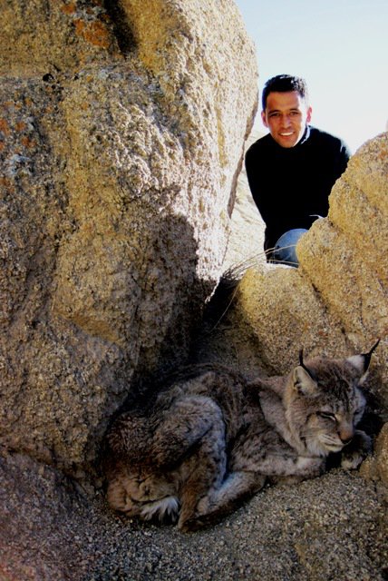 Snow Leopard