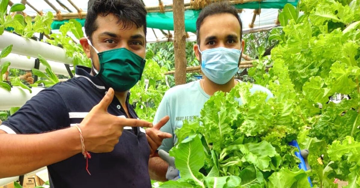 Grounded Mumbai Pilots Use Hydroponics to Grow & Deliver Toxin-Free Veggies