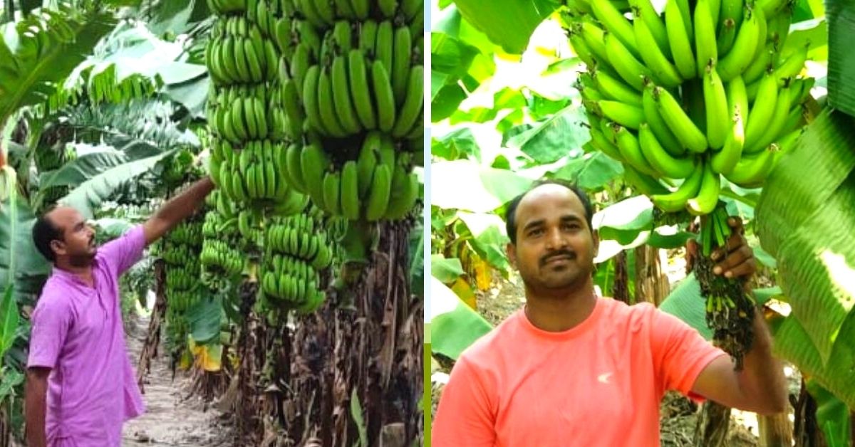 UP School Teacher Earns Lakhs From Part-Time Farming, Inspires 350 Other Farmers