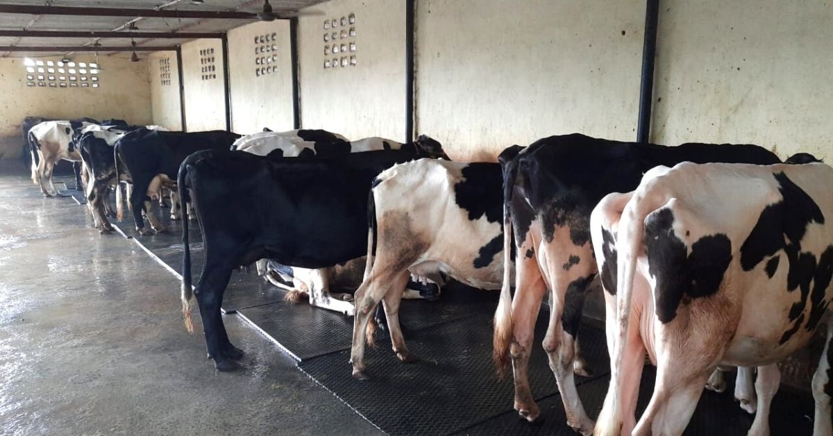 Shocked by Diary Malpractices, Jharkhand Duo Build Startup to Deliver Pure Milk