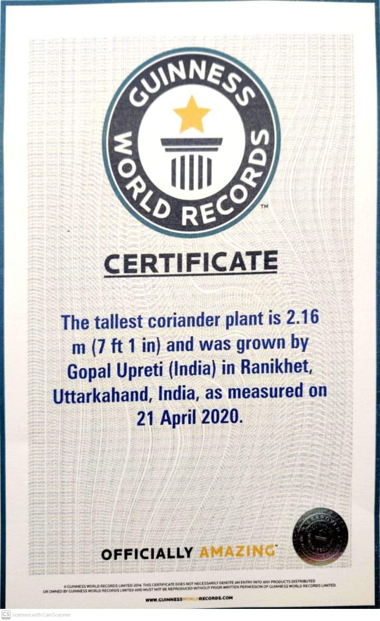 Uttarakhand Man Grows World’s Tallest Coriander Plant