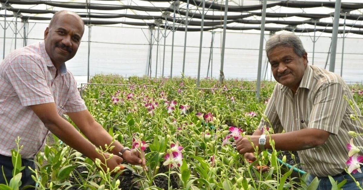 Telangana farmer growing orchids