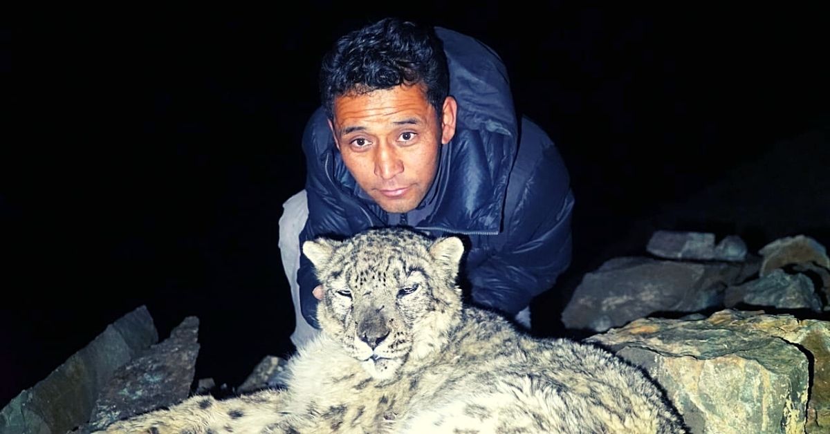 Taking Massive Risks, Ladakh Man Has Rescued 47 Snow Leopards Without Cruelty