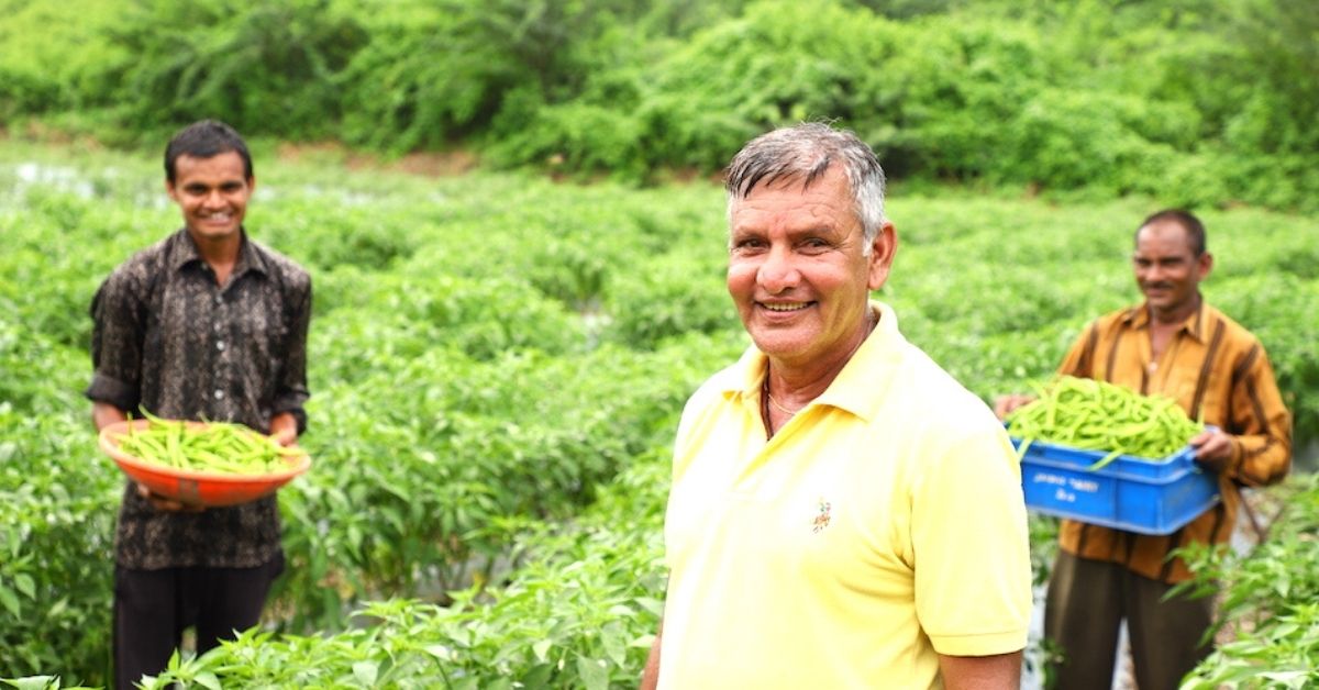 Rajasthan Farmer Boosts Income 100% With Chillies