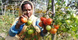 MP Farmer's Bumper Crops & Profits Convinces Farmers in 6 villages to Turn Organic