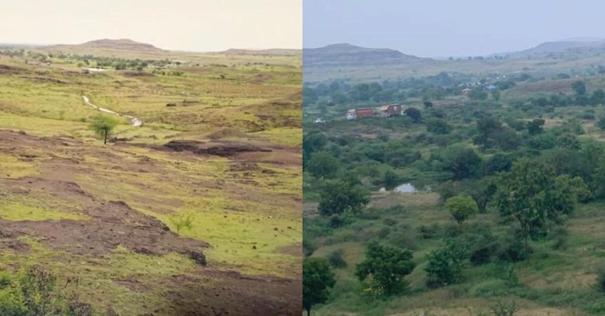 Maharashtra Govt Officer Finds 16,000 Trees To Turn Barren Land Green Again