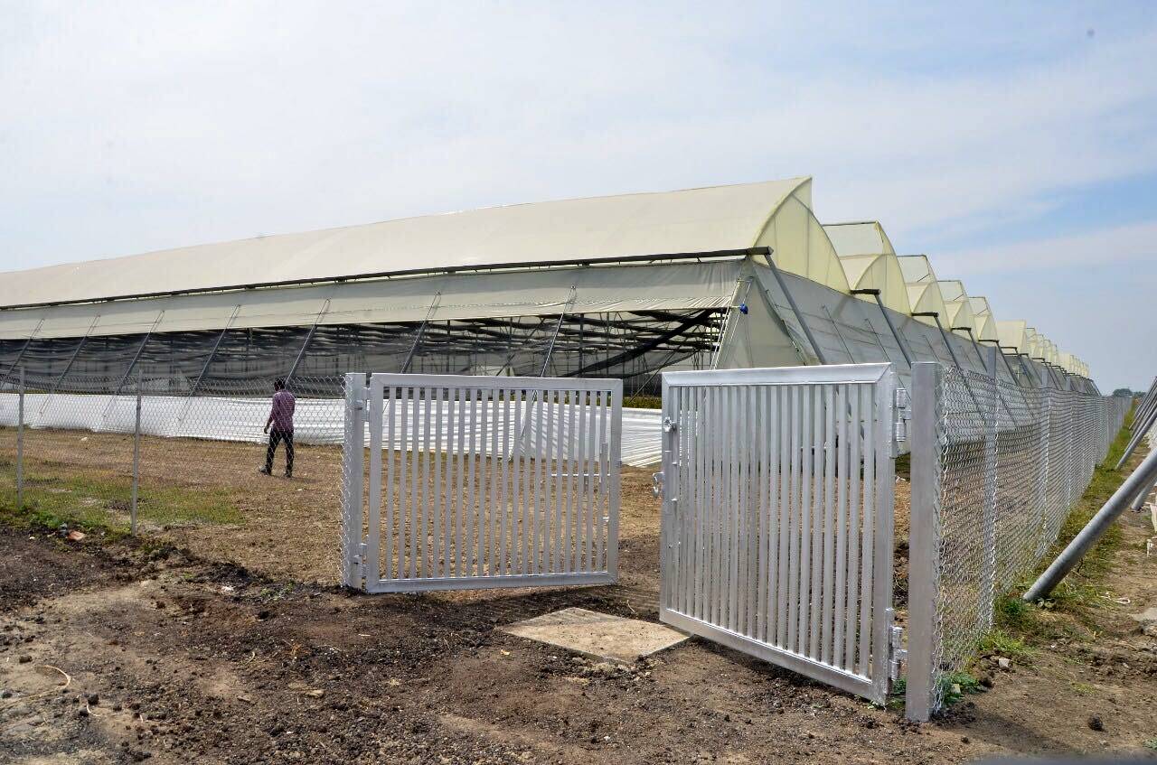 Telangana farmer growing orchids