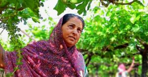 She Had a Debt of Rs 30 Lakh. Now Grapes Help Her Earn More Than That in 1 Year!