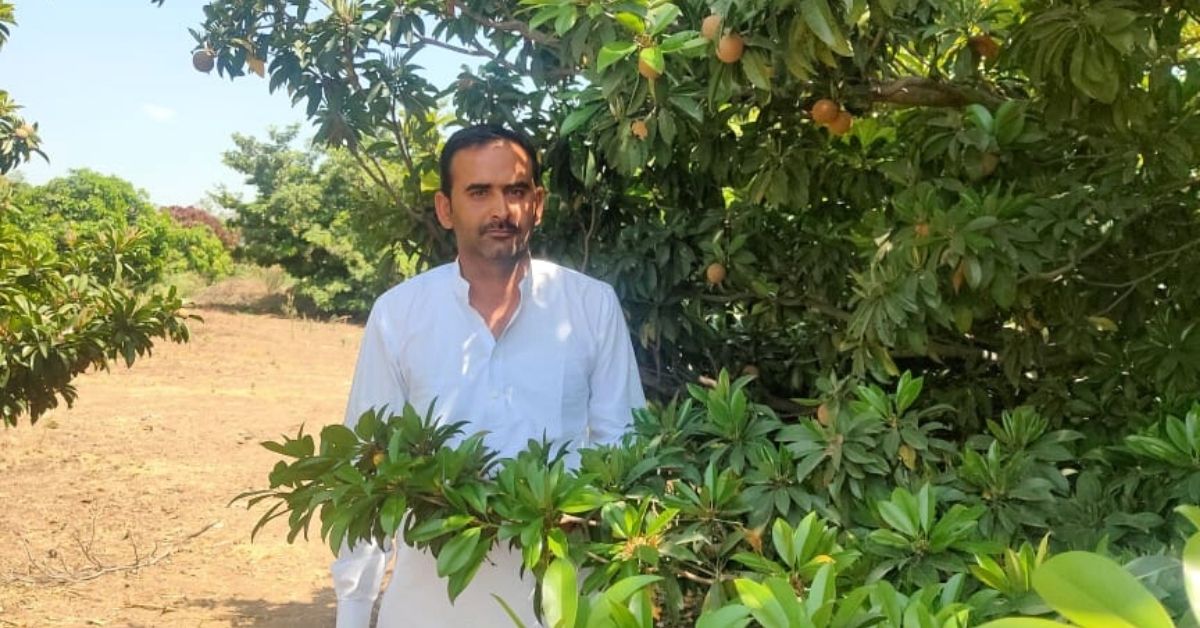 Rajasthan Farmer Grows 9000 Pomegranate Shrubs Despite Desert Storms