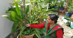 Growing Turmeric Is Easier Than You Think. Pune Woman Explains How