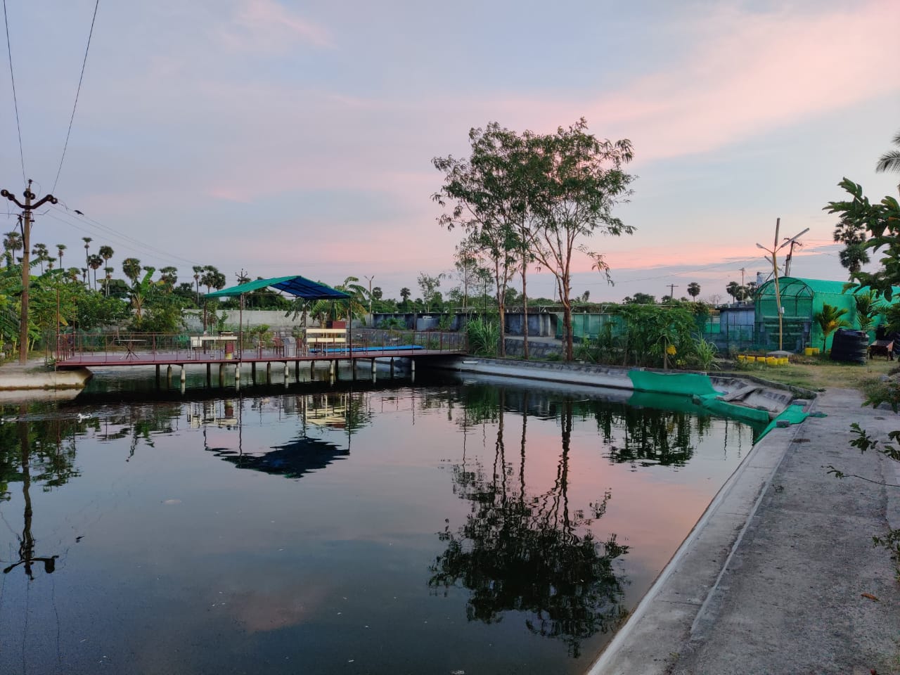 Aquaponics Farm