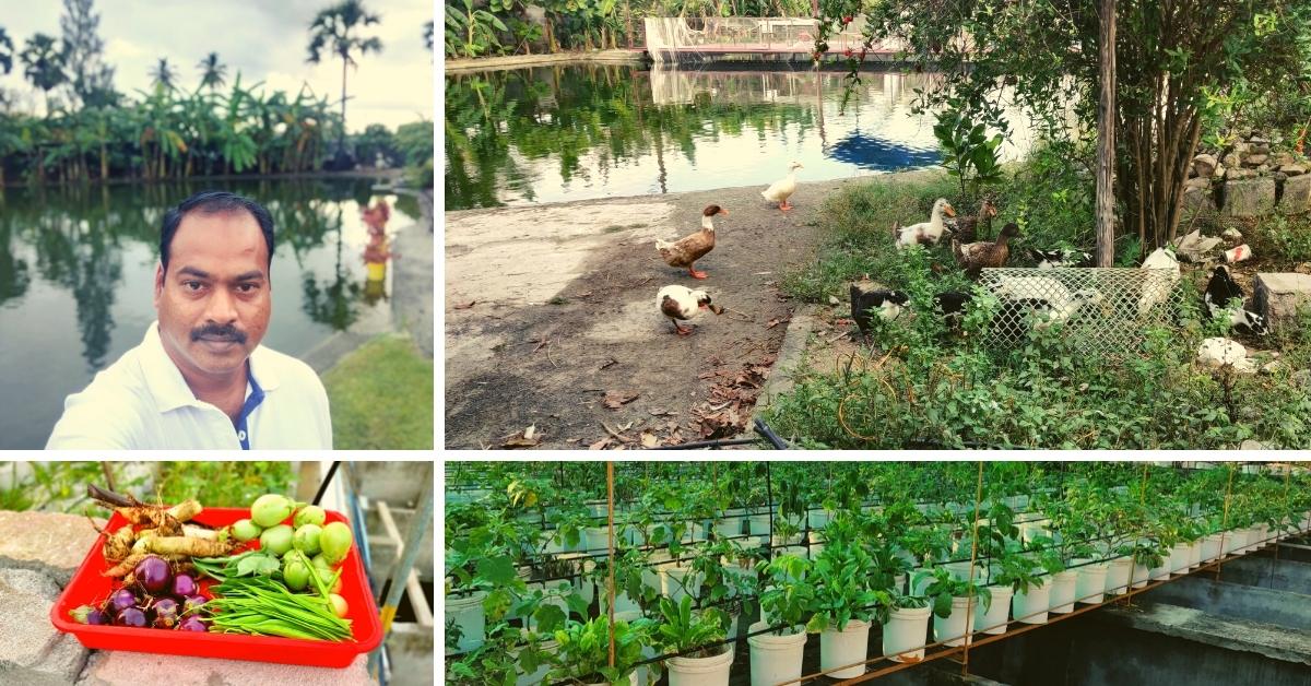 Engineer Returns from US to Start Aquaponics Farm, Grows 4 Tonnes of Veggies/Month
