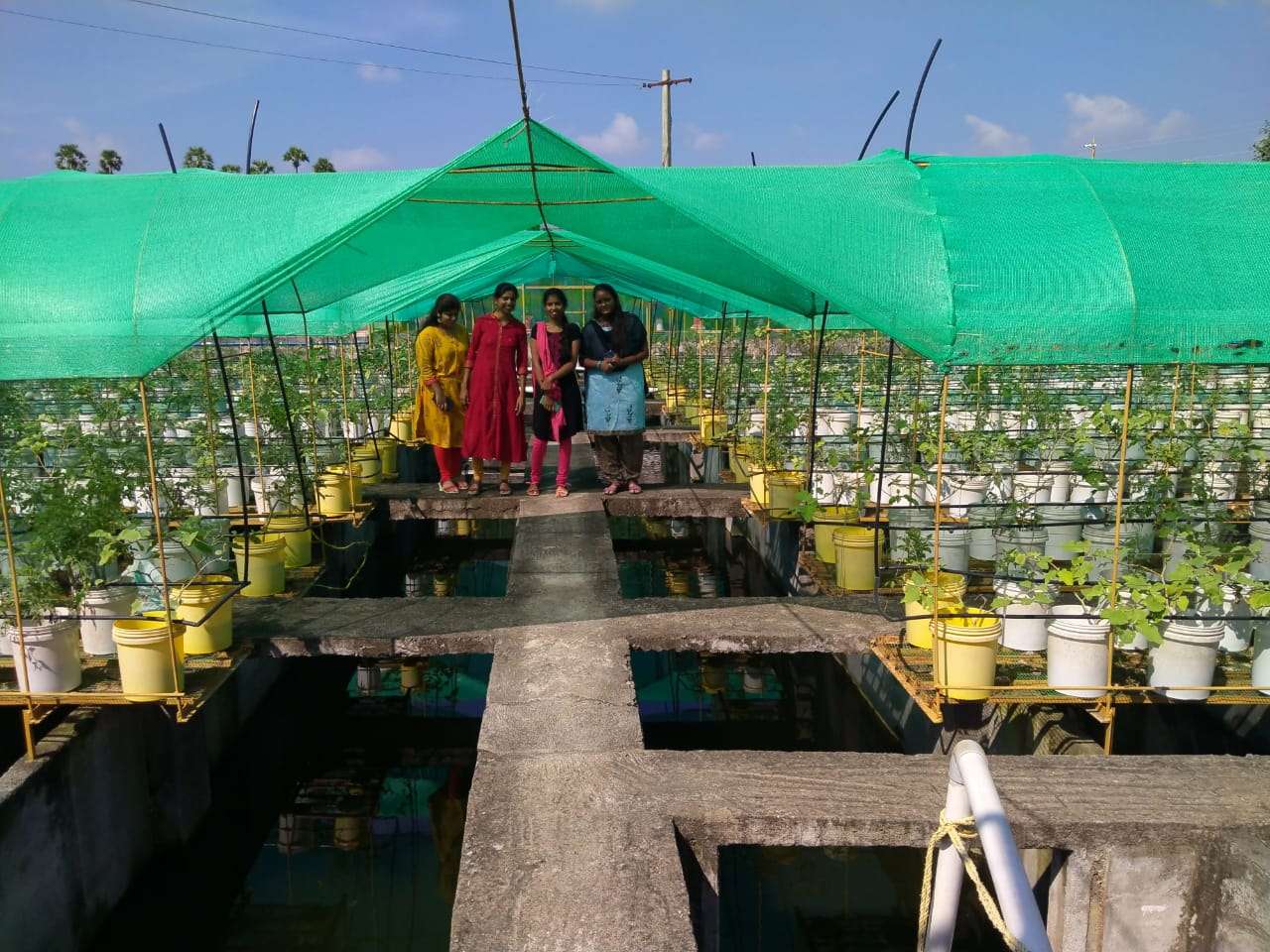 Aquaponics Farm