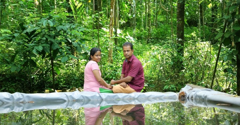 Kerala Photographer Raises 80 Types of Veggies, Fishes & Beehives in His Backyard