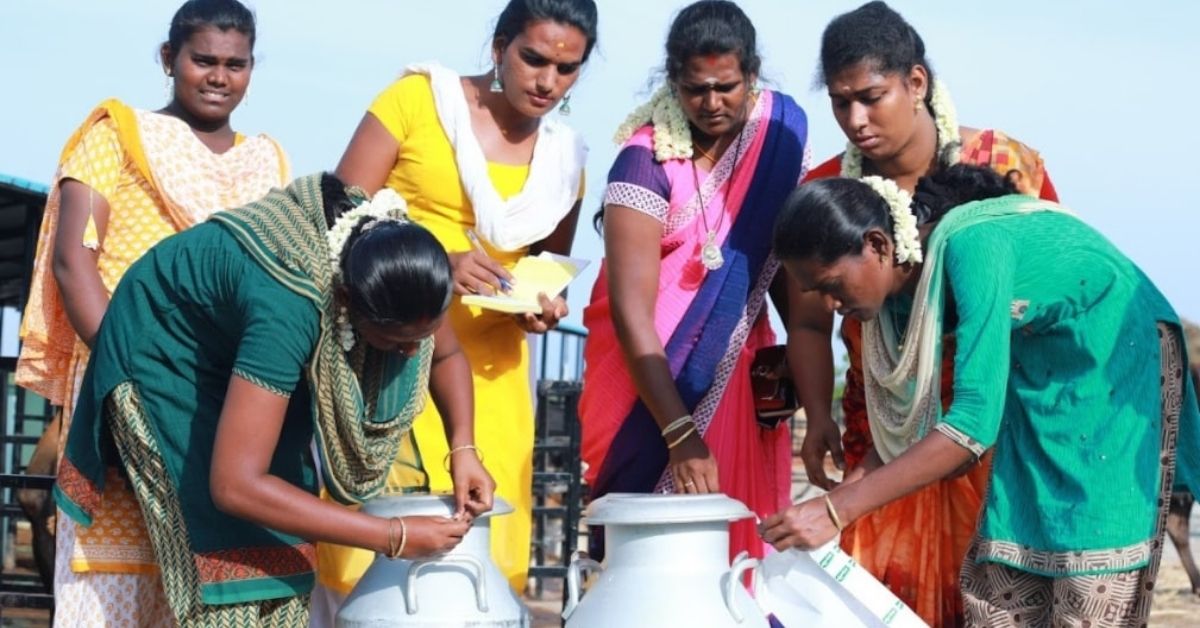How an IAS Officer Helped Set Up India’s First Transgender-Run Milk Cooperative
