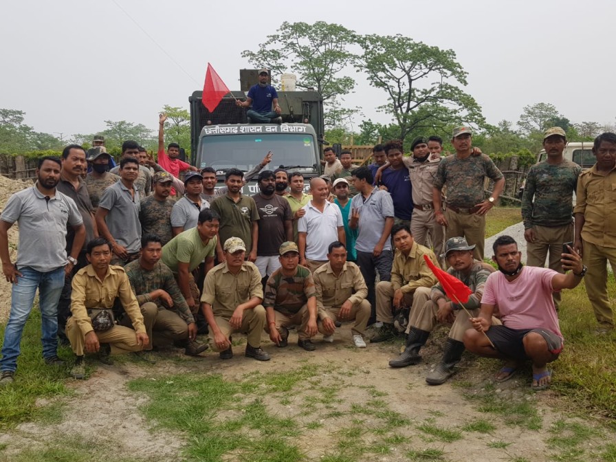 How Do You Move 2 Wild Buffaloes 1900 Km During Lockdown