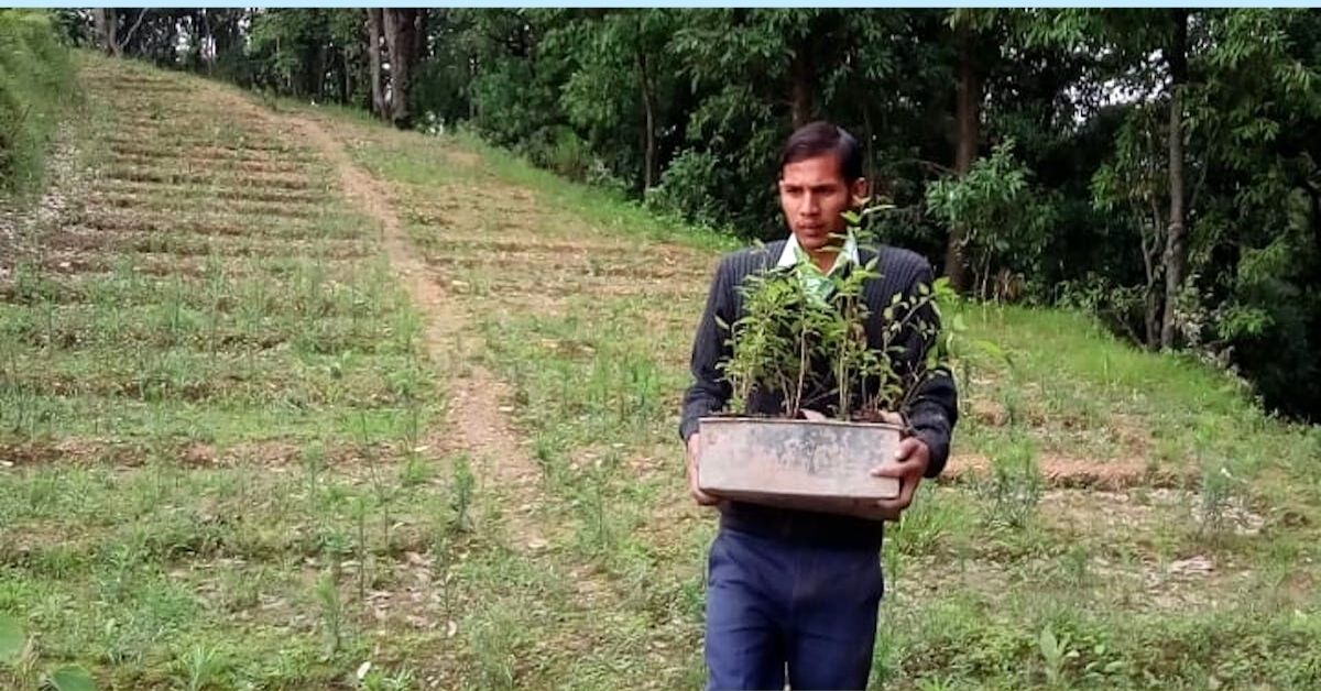 Mom’s Death Pushes Nainital Man to Quit Lecturer Job, Plant 12000 Trees