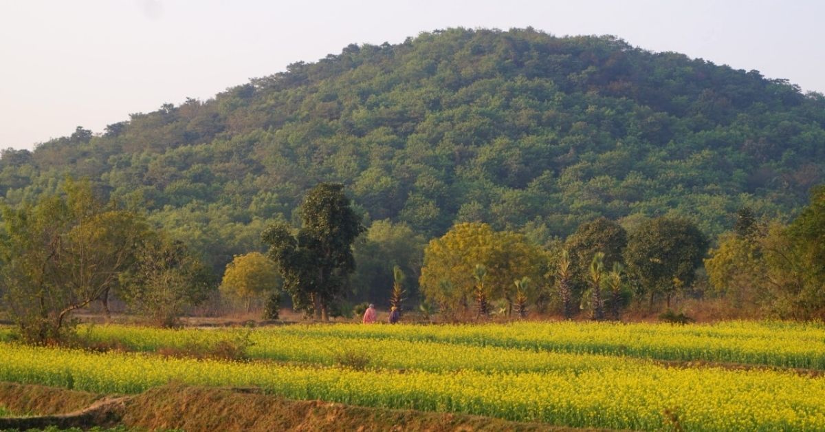 Purulia Villages Turn Barren Mountain Into Lush Forest in 20 Years, Solve Water Woes