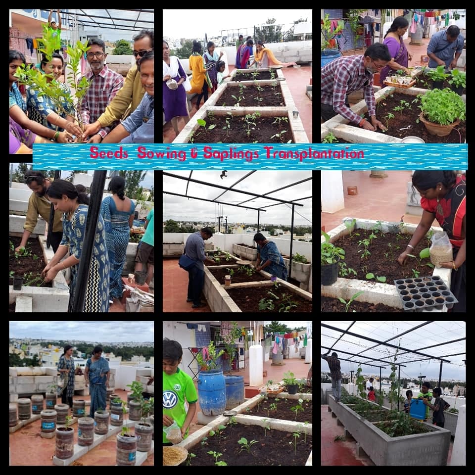 Organic Terrace Gardens Bangalore