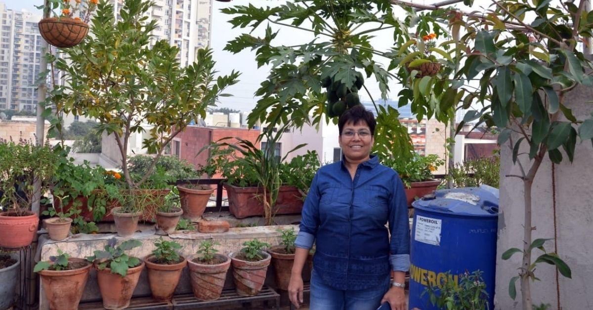 Ex-ISRO Scientist Makes Her Own Soil From Stubble, Grows 70 Food Crops at Home