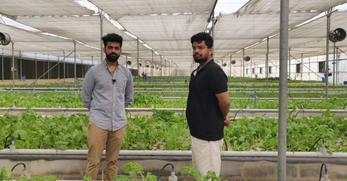 IIT Grads With Zero Farming Experience Earn Rs 80 Lakh/Month From Exotic Veggies