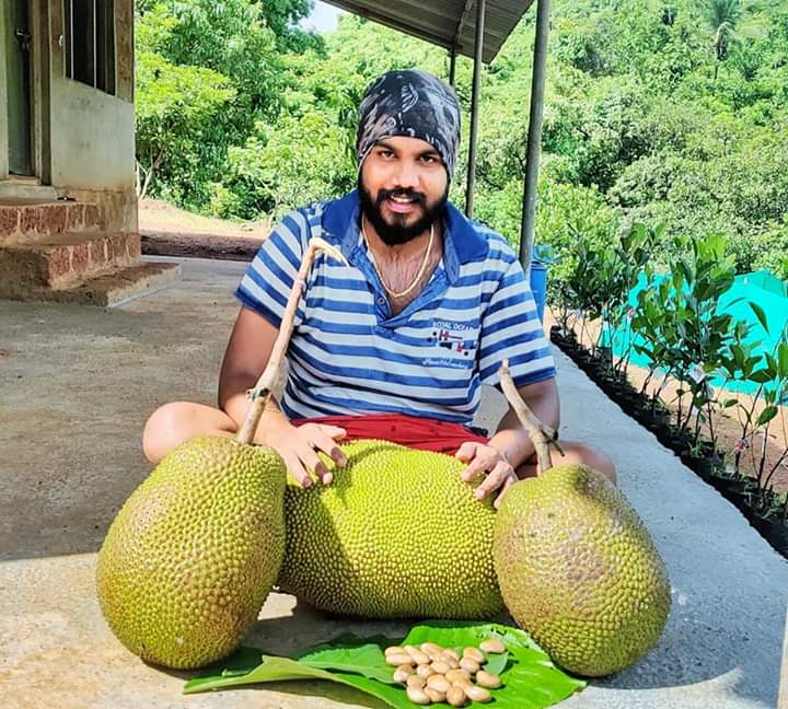 Jackfruit 