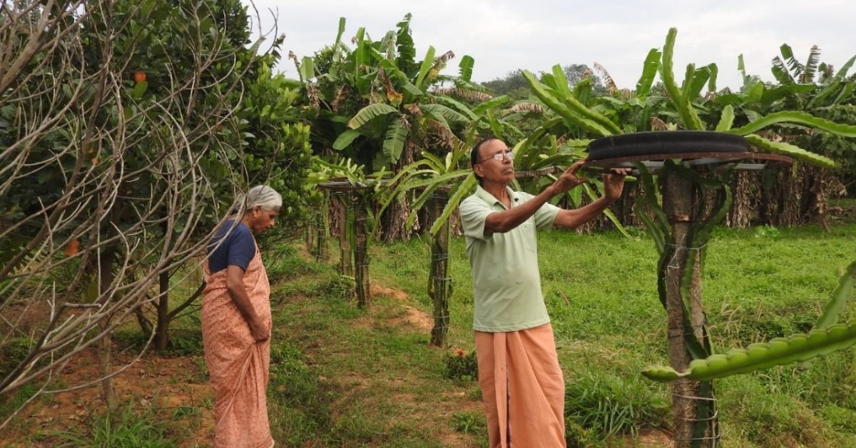 Retired Kerala Couple in Their 70s Grow Over 50 Varieties of Veggies, Fruits on Farm