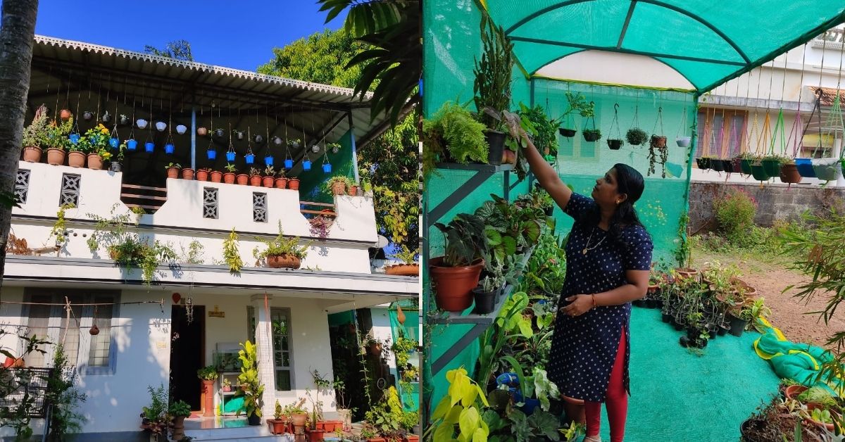 Kerala Homemaker Grows 100s of Plants on Terrace, Earns Rs 30000 Per Month