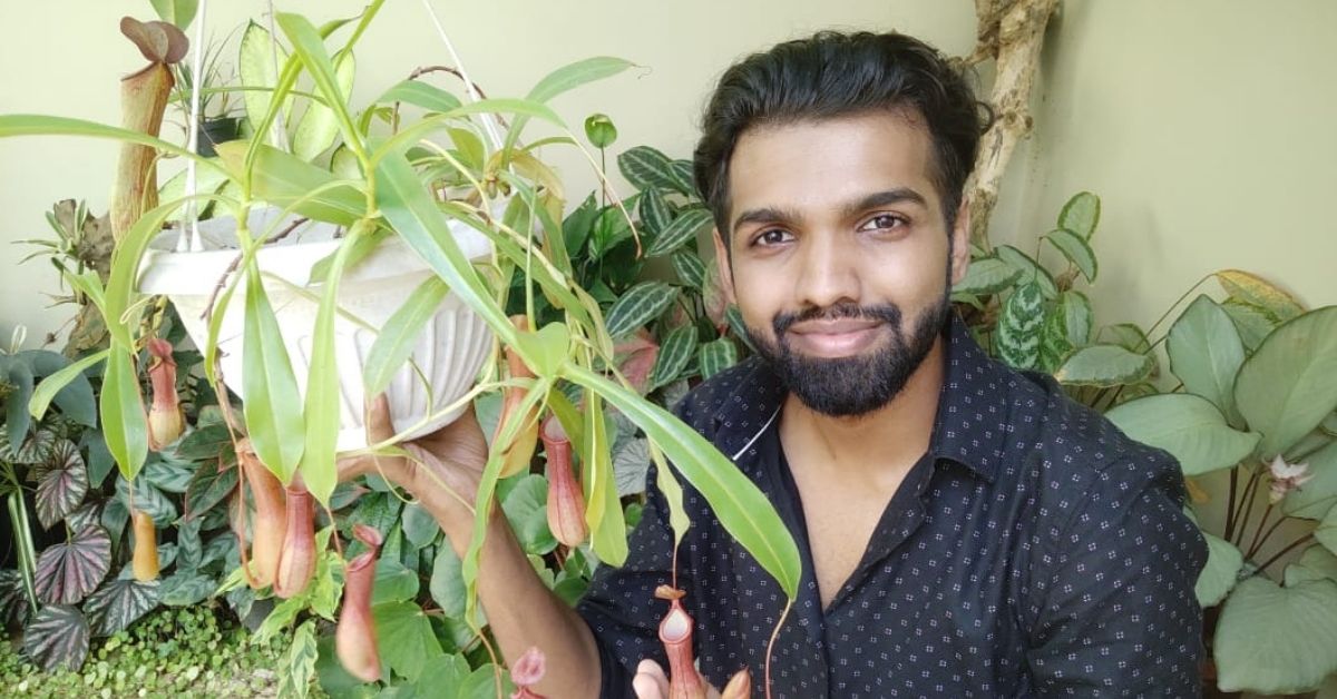 Kerala Man’s Rare Carnivorous Plants Devour Insects, Earn Him Rs 30,000/Month