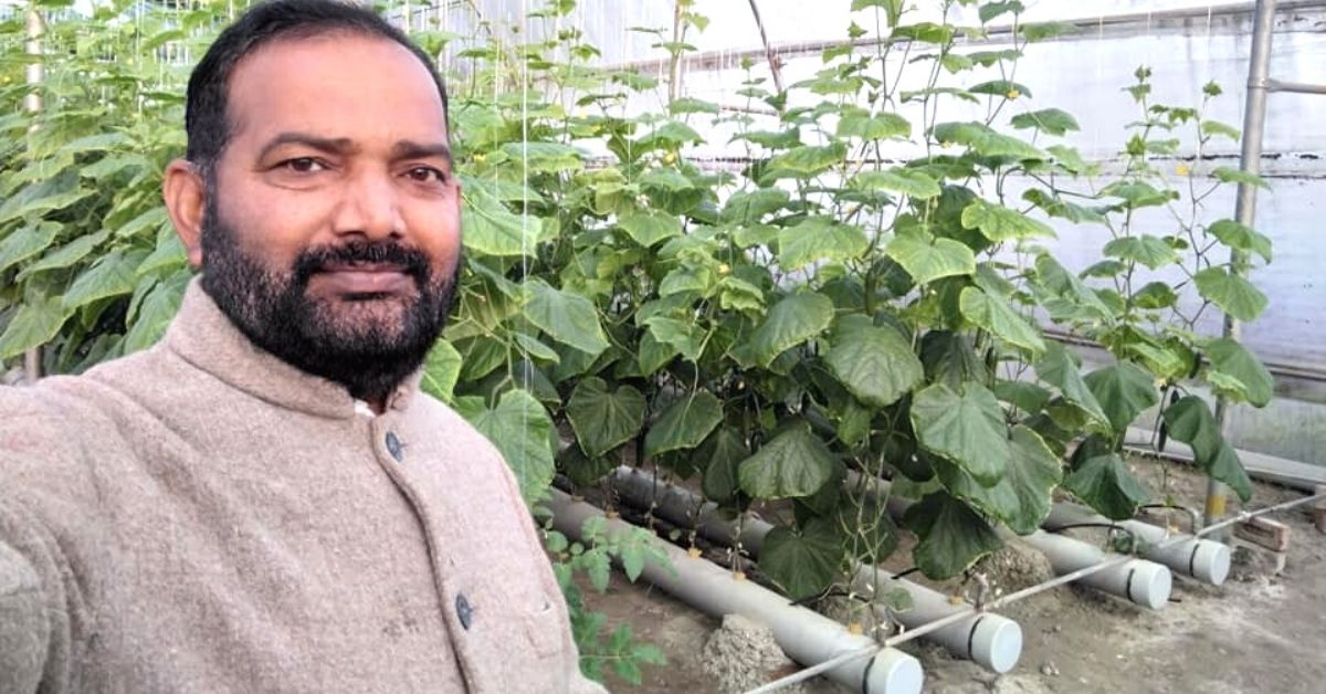 Switching From Labs to Land, Himachal Post Grad Makes It Big With Hydroponics