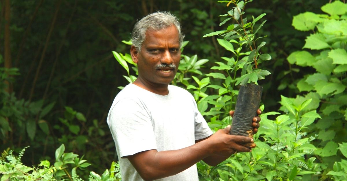 Tamil Nadu Man Single-Handedly Creates Lush Forest in 100 Acres of Barren Land