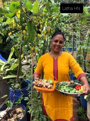 Organic Terrace Gardens Bangalore