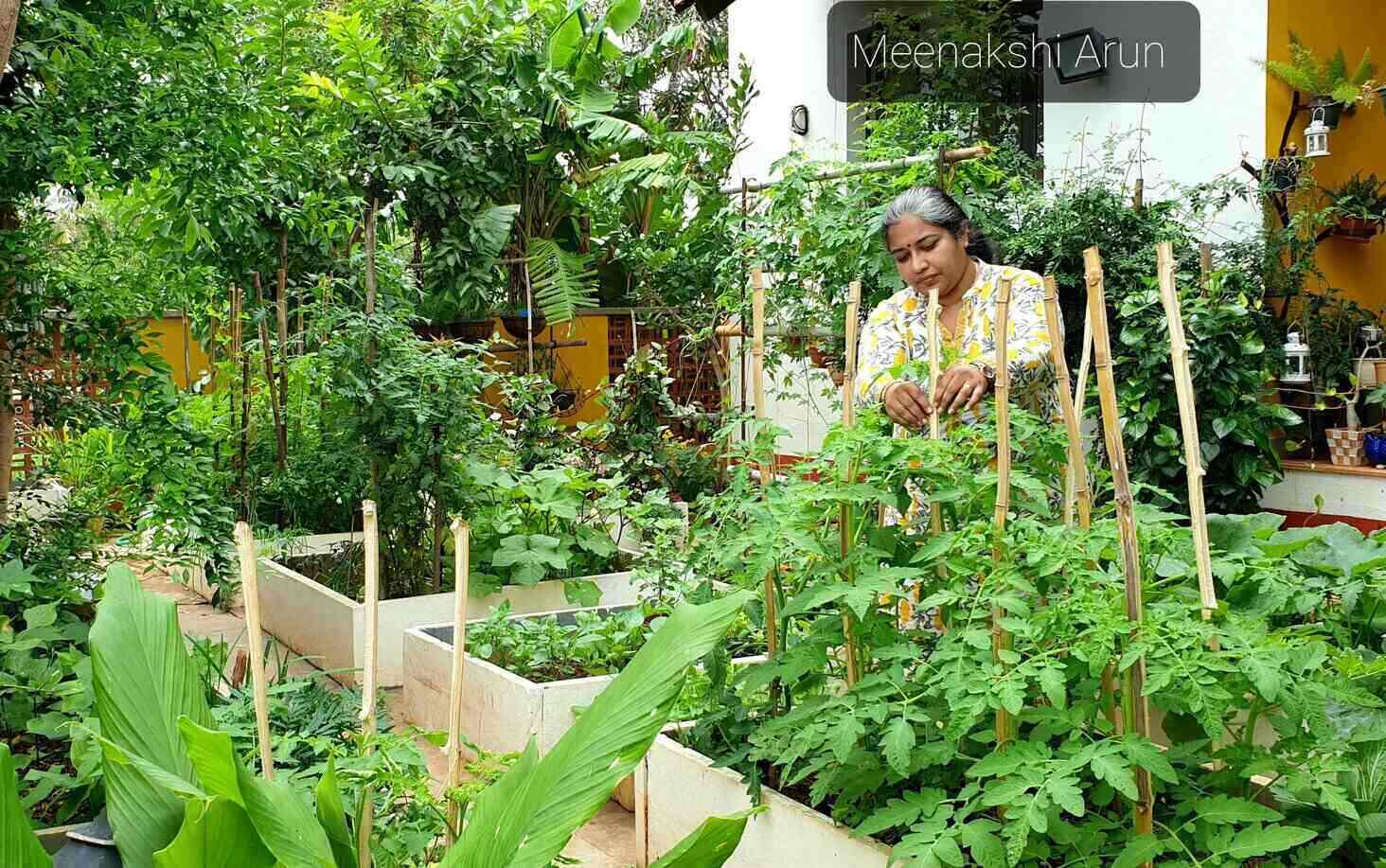 Organic Gardens in Bangalore 