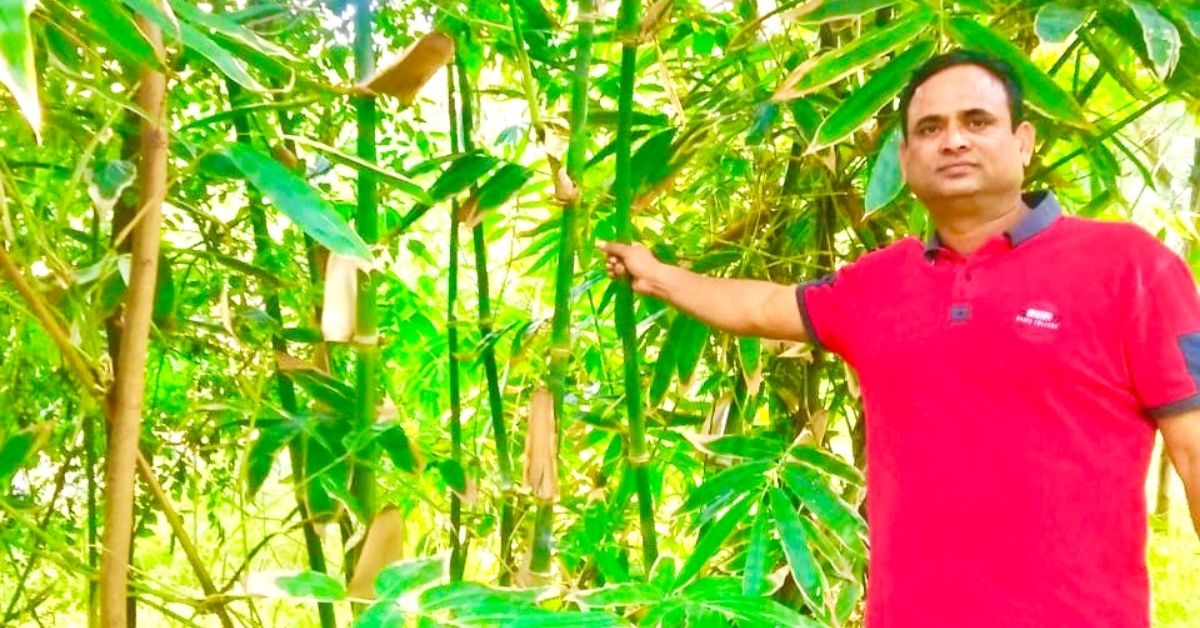 Under Debt of Rs 10 Lakh 23 Years Ago, This Bamboo Farmer Now Earns Rs 1 Crore a Year