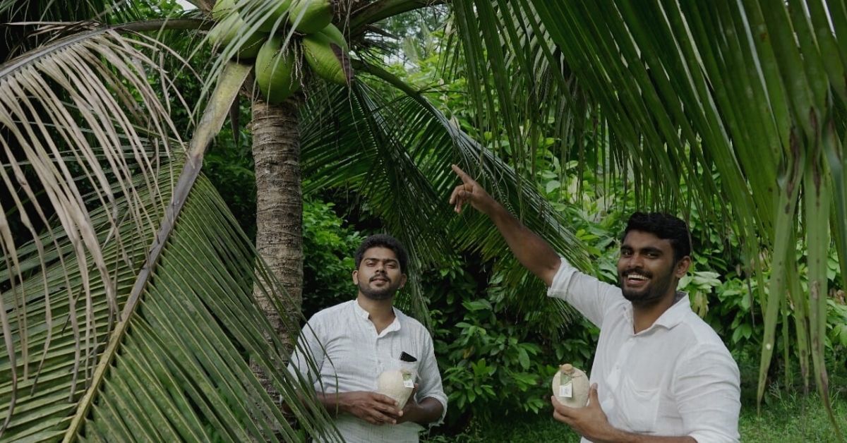 Kerala Duo Launch Tender Coconuts With  Expiry Dates, Help Boost Farmer Incomes