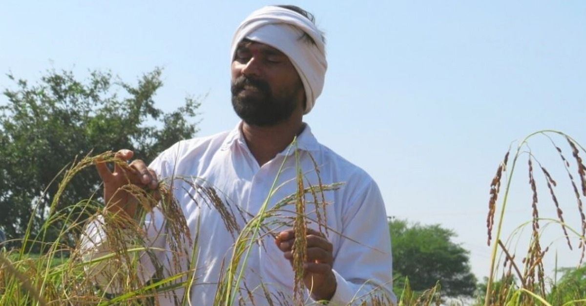 Farmer Learns From Tribals, Brings Assam’s ‘Ready-To-Eat’ Rice Variety to Telangana