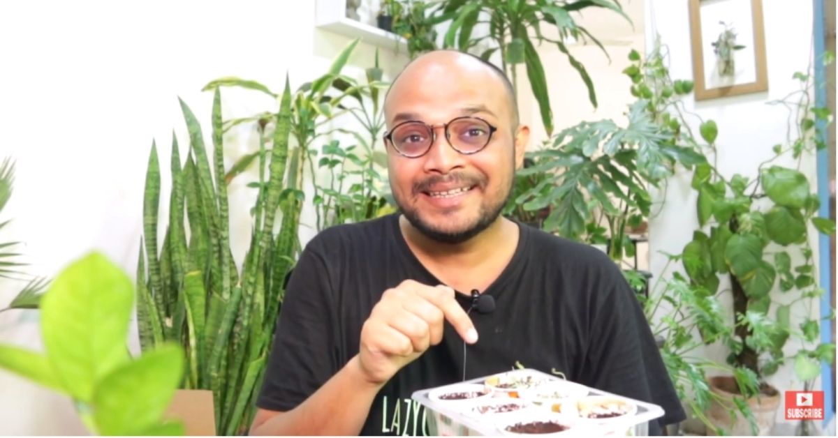 Dhania to Methi: IIT Alumnus Shares How to Grow Essential Indian Herbs at Home