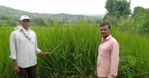 Maharashtra Farmer’s Initiative Helps Grow 1200 kg of New Variety 'Black Rice'