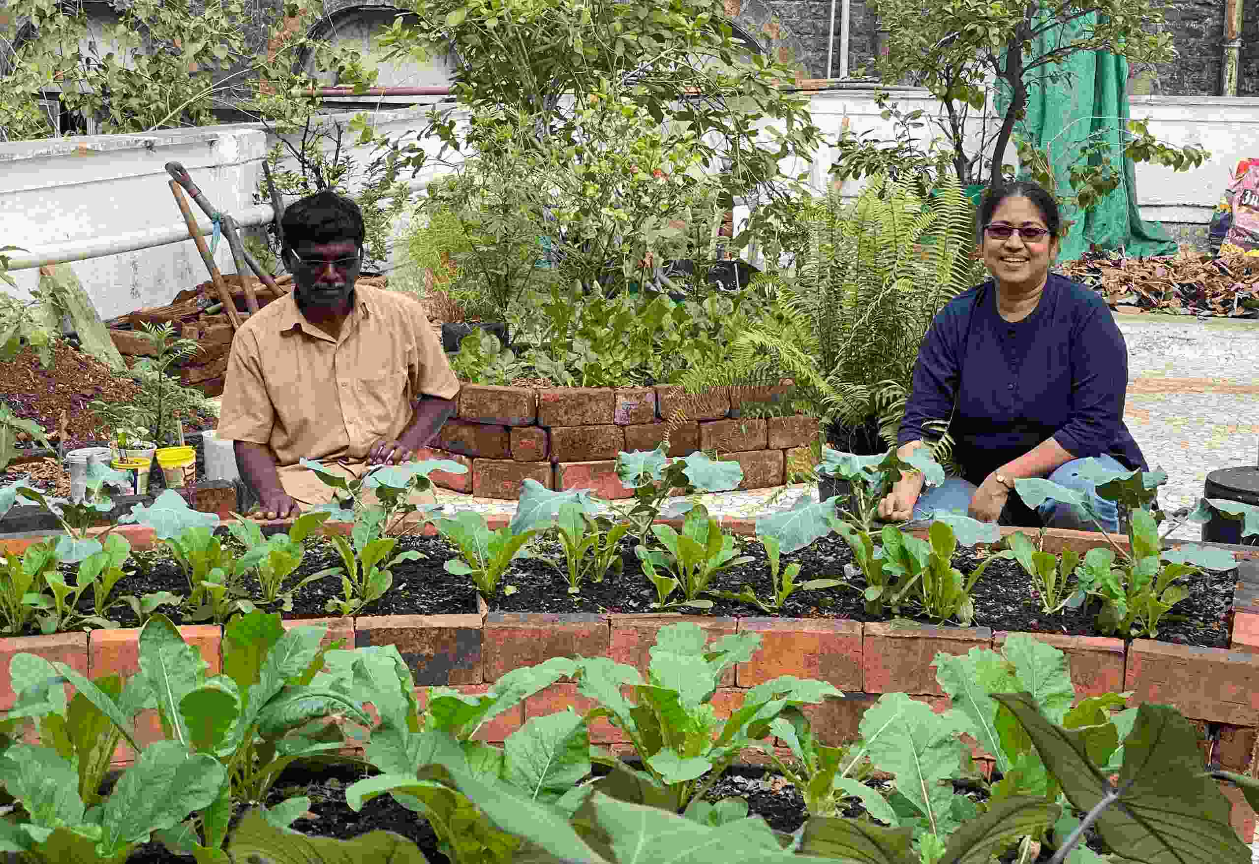 terrace garden