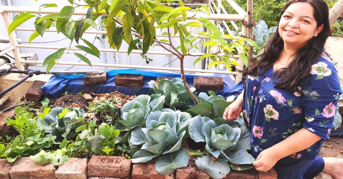 How to Make Raised Beds For Your Garden Using Bricks, Cow Dung & Waste Plastic