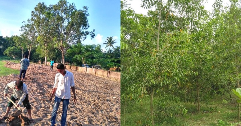 Engineer Creates 20 Mini Forests in Odisha Villages, Plants 1 Lakh Trees