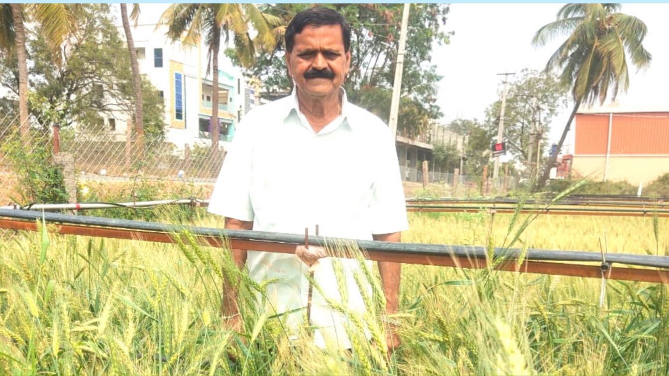 Thanks To This Farmer’s Innovation, Rice & Wheat Can Now Be A Source of Vitamin D