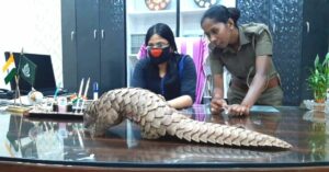 Despite Threats, Forest Officer Busts Smuggling Ring of World’s Most Trafficked Animal