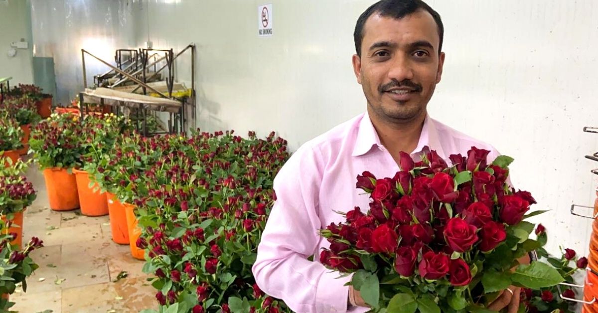 Pune Paddy Farmer Switches to Roses, Earns Lakhs Thanks to Bumper Orders