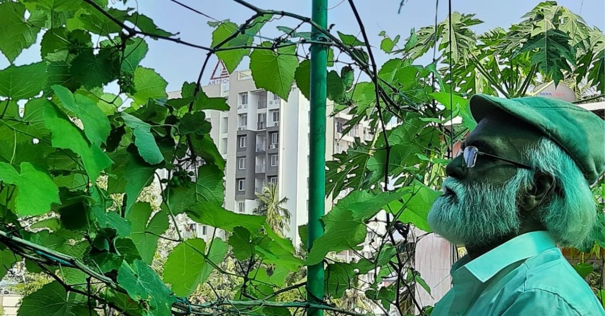 Terrace Gardening Experts Shares Simple Hacks to Grow Grapes in Growbags