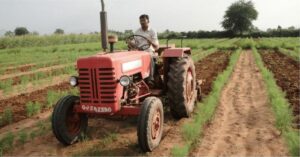 India's 'Saunf King' Grows 25 Tonnes of Fennel on 15 Acres While Also Saving Water