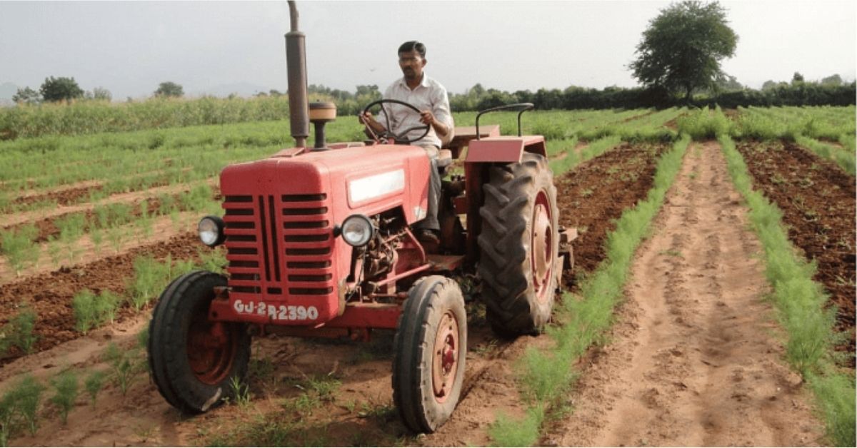 India’s ‘Saunf King’ Grows 25 Tonnes of Fennel on 15 Acres While Also Saving Water