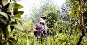This Ex-Air Force Pilot Is The Sole Guardian Of A 140-Acre Ecosystem Atop A Mountain