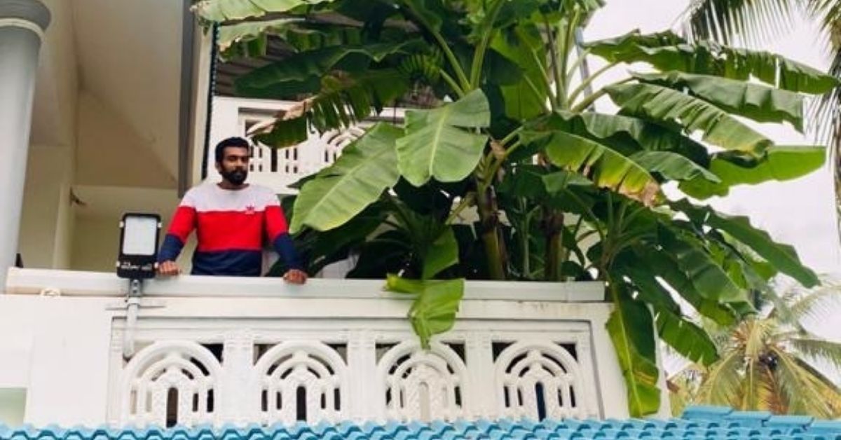 banana tree on terrace with aquaponics